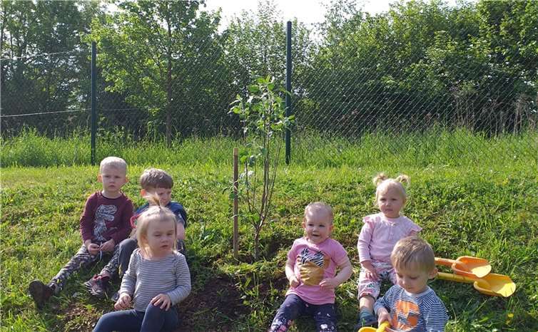 Der neue Apfelbaum. Foto: Kirsten Grabisch