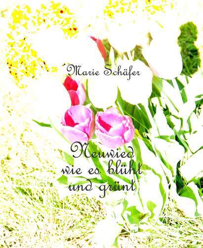 Der neue Bildband von Marie Schäfer. Foto: privat