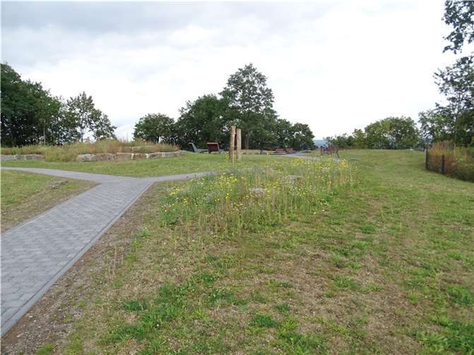 Der neue Festungspark Kaiser Alexander verbindet auf der Karthause das Löwentor mit dem Spielplatz, der Grundschule und den Kindertagesstätten.