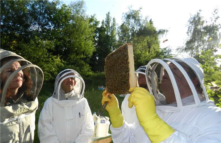 Der neue Imkerlehrgang ist in jahreszeitlich relevanten Themenmodulen aufgebaut.