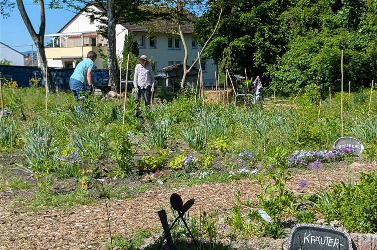 Der neue Klimagarten.Foto: Ulrike Neuser