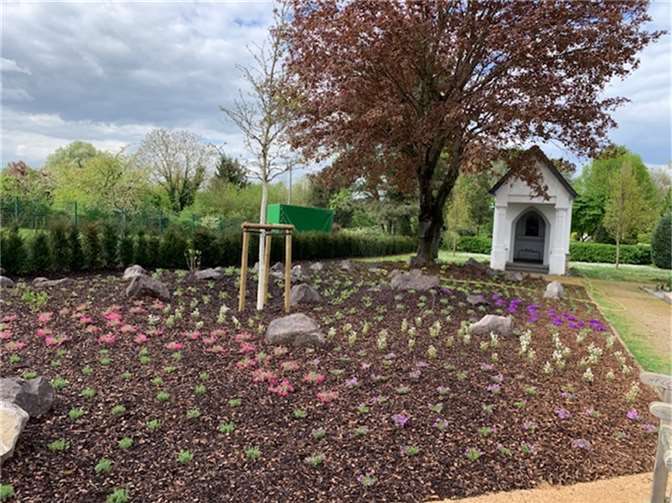 Der neue Ruhegarten auf dem Urmitzer Friedhof. Foto: Johannes Weiler
