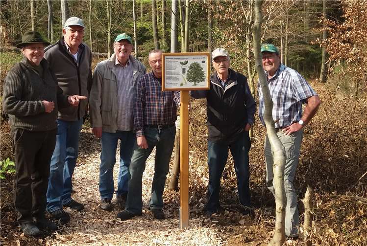 Der neue Weg wurde bereits mit Hackschnitzeln eingedeckt. Privat