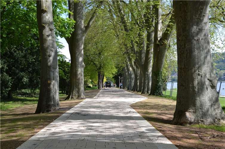 Der neue Wegabschnitt in den Rheinanlagen ist zum Flanieren freigegen. Das Pflaster wurde deutlich angehoben, um die Wurzeln der Bäume zu schützen und den Abfluss des Regenwassers zu gewährleisten. Fotos: Stadt Koblenz/Verena Groß