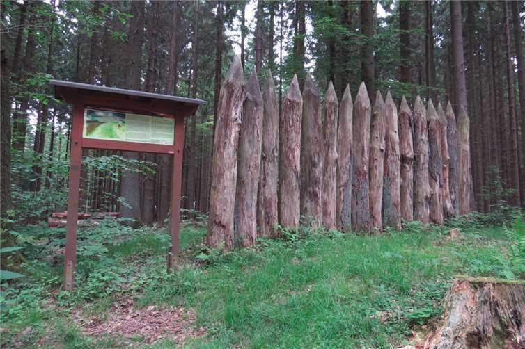 Der obergermanisch-rätische Limes, der sich über mehr als 500 Kilometer durch halb Deutschland zog, war zu einem großen Teil mit Holzpalisaden befestigt.Foto: Carolin Faller