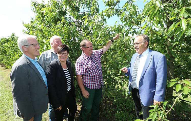 Der örtliche Landtagsabgeordnete Josef Dötsch (l.), Christine Schneider (Mitglied im Bundesfachausschuss der CDU Landwirtschaft und ländlicher Raum, 2. v. l.), Rudolf Flöck (Vorsitzender des Bauernortsverbandes), Thomas Kreuter (Vorsitzender des Obstbaurings Koblenz, 2. v. r.), Arnold Schmitt, MdL, (Vorsitzender des Ausschusses für Landwirtschaft und Weinbau im Rheinland-Pfälzischen Landtag, r.).privat