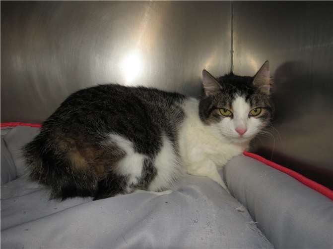 Der peppige Pepe.  Foto: privat