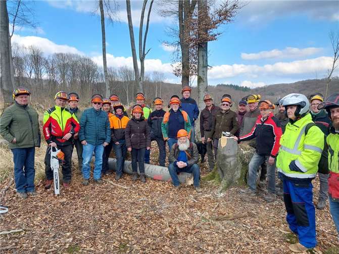 Der praktische Teil auf der „Linzer Höhe“: Hier wurden drei Buchen von unterschiedlicher Stärke und Schadbild gefällt.  Foto: Kreiswaldbauverein-Neuwied, Uwe Werner