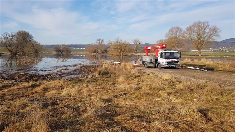 Der rund 26 Hektar große Bereich der „Thürer Weisen“ besitzt eine besondere Arte...
