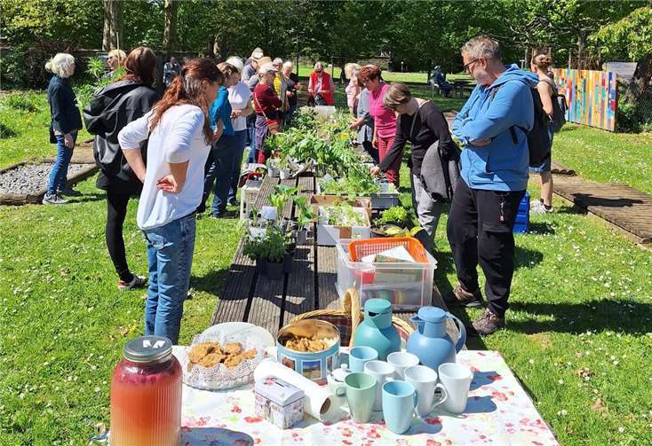 Der schön gepflegte Kräutergarten wurde von den Besuchern bestaunt und bewundert.  Foto: Eva Sobotka