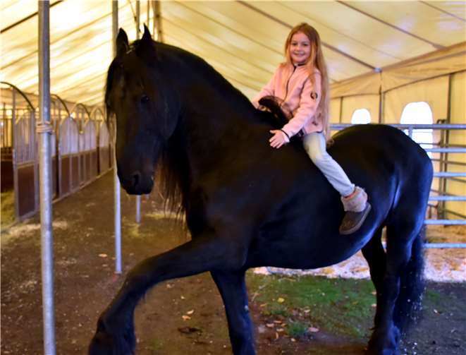 Der schwarze Friese Bullert ist das größte Pferd im Stall und wird von der Siebenjährigen geritten, die Yakaris Freundin Regenbogen darstellt.