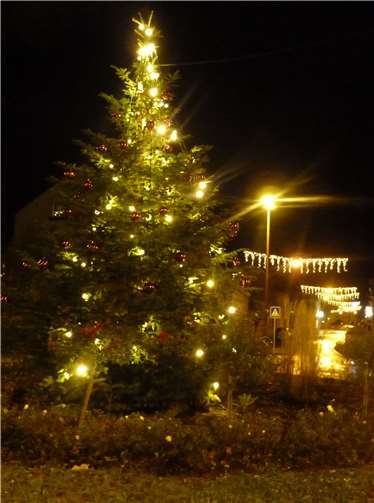 Der sechs Meter hohe Weihnachtsbaum auf dem Kreisel Dierdorfer Straße / Sohler Weg bei Nacht. Fotos: privat