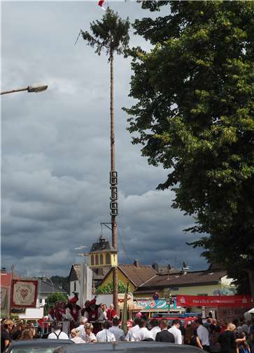 Der stolze Kirmesbaum.