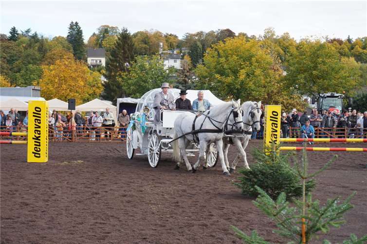 Der traditionelle Pferdemarkt findet am 14. Oktober statt. Foto: Jacqueline Blang/Stadt Mayen