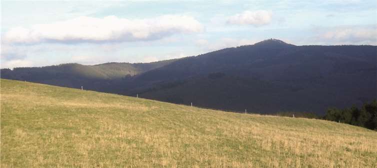 Der weite Blick an der Hohen Acht ist gefährdet.privat