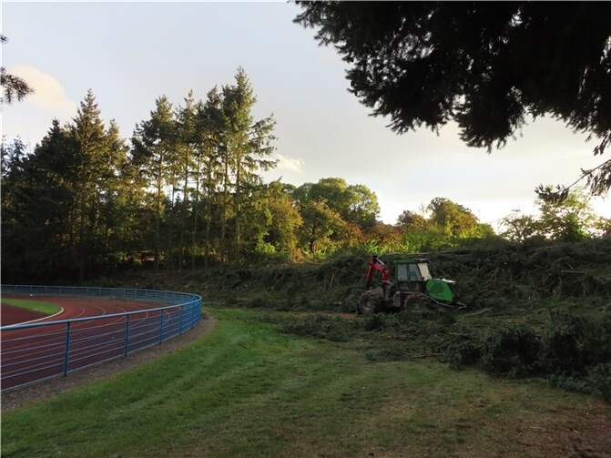 Der westliche Hangsaum musste fallen. Foto: privat