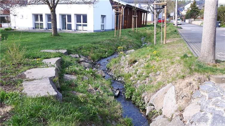 Der zuvor geradlinige Graben wurde verbreitert und mäandrierend neu angelegt (gewundener, kurvenreicher Verlauf). Dabei stand die Renaturierung des Baches im Vordergrund.