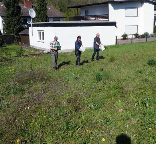 Detlef Lange, Hans-Jürgen Michel und Stefanie Malz bei der Aussaat auf der schönen großen Wiese.Foto: privat