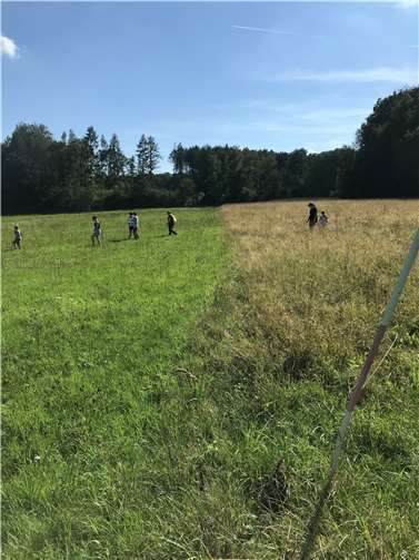 Deutlich sichtbar: Unterschiedliche Bewirtschaftungszeiträume. Copyright: SNU