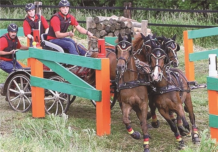 „Diamant“ mit seinen „Teamkameraden“ im Gespann des erfolgreichen Fahrers Steffen Brauchle.privat