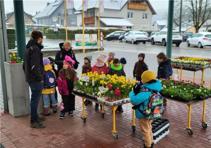 Die 1. Klasse der Hellenbachschule in Westum bei ihrem Besuch in der Gärtnerei Hammer.  Foto: privat