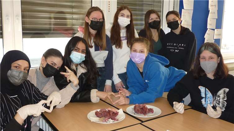 Die 12G konnte praktische Erfahrungen an Schweineherzen sammeln.  Foto: privat