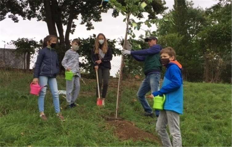 Die 2b gemeinsam bei der Arbeit.