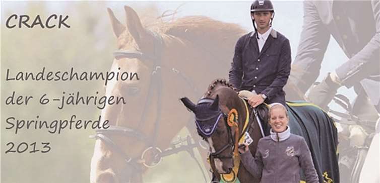 Die 32-jährige Pferdebesitzerin Sonja Meinl aus Andernach-Namedy konnte mit ihrem Wallach Crack einen großen Erfolg verbuchen.Privat