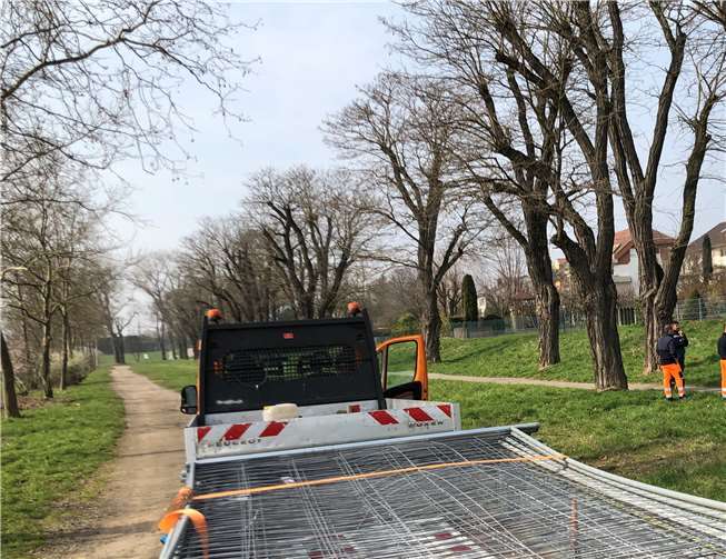 Die 400 Meter lange Akazienallee wird mit Bauzäunen gesichert.Fotos: SBN