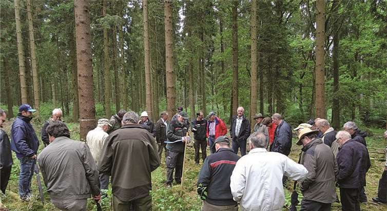 Die 42 Teilnehmer aus dem Kreis Ahrweiler wurden durch den Gemeindewald geführt.privat