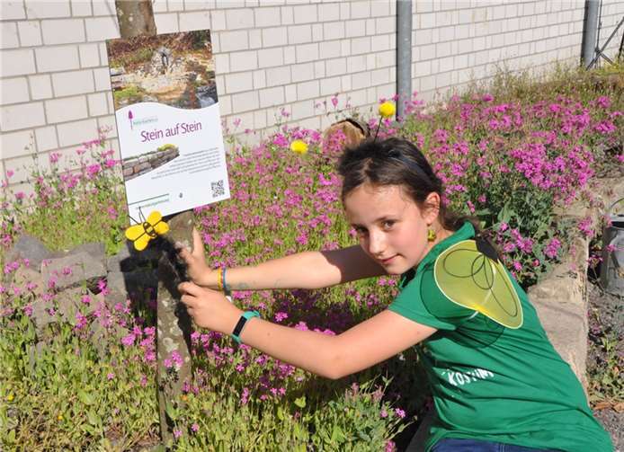 Im Kehriger Blüten- und Blumenmeer summen die fleißigen Bienen Die 9-jährige Theresa Wolf hatte sich ebenso für die Bienen engagiert.