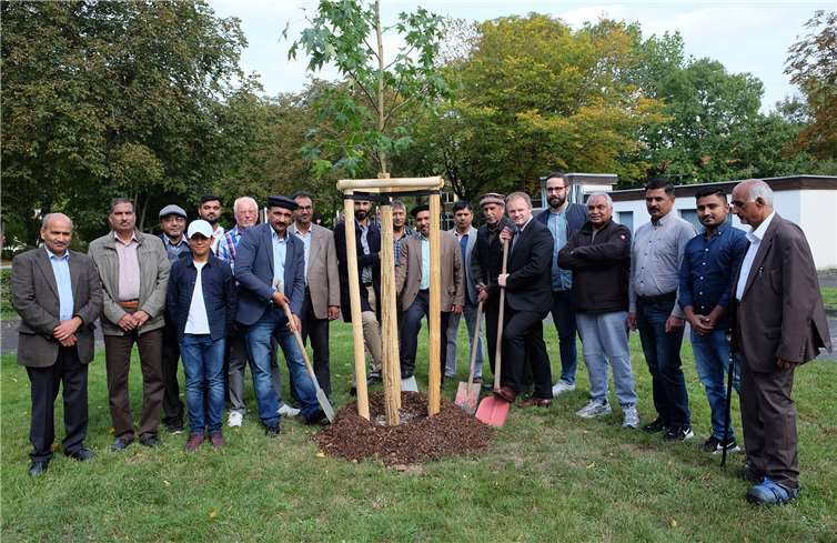 Die AMJ und der Oberbürgermeister der Stadt Neuwied freuen sich über den gemeinsam gepflanzten Amberbaum. Foto: privat