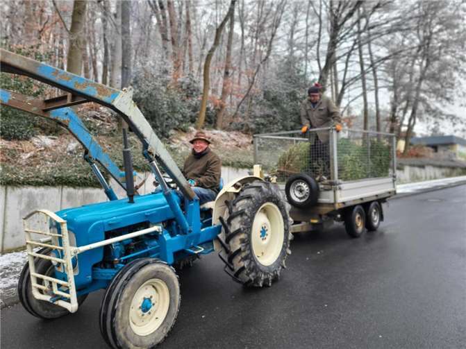Die Abholung der Tannenbäume hat in Hillscheid Tradition.  Foto: privat