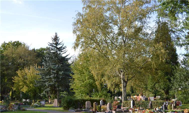 Die Änderung der Friedhofssatzung wurde einstimmig beschlossen.Foto: AB