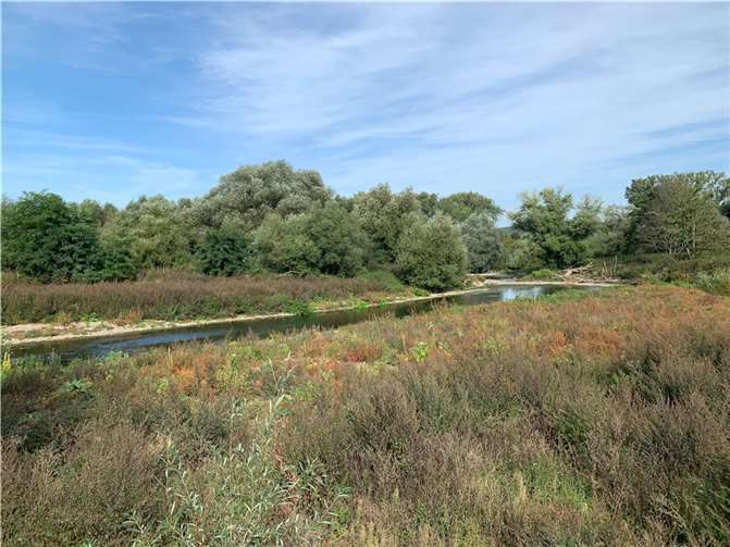 Restlicher Flutmüll an der Ahrmündung wird zeitnah entfernt Die Ahrauen vor der Flut. Foto: ROB