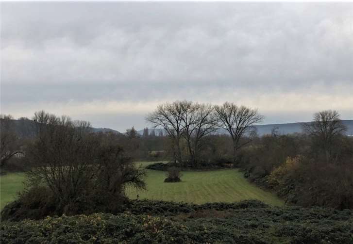 Die Ahrmündung. Werden hier ab 2021 Wasserbüffel stehen? Foto: privat