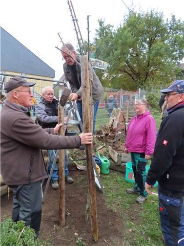 Die Akteure des Obst- und Gartenbauvereins pflanzten in diesem Jahr einen Apfelbaum im Schulgarten.