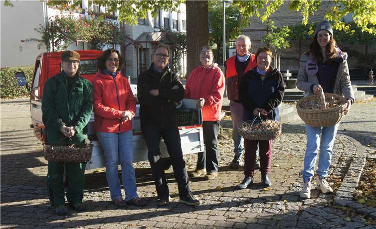 Die Aktiven des Obst- und Gartenbauvereins während ihrer Pflanzaktion, als sie auch auf dem Raiffeisenplatz rund um den im vergangenen Jahr von ihrem Verein gestifteten Walnussbaum für blühende Abwechslung sorgten. Foto: privat