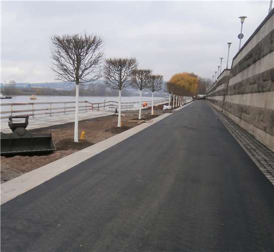 Die Allee aus 21 Linden als besonderes gestalterisches Element wurde mittlerweile gepflanzt. Fotos: Stadt Neuwied