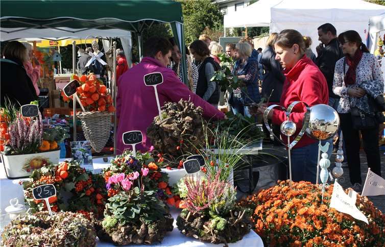 Die Angebote auf dem Mertlocher Herbstmarkt spiegelten die ganze Farbenpracht des Herbstes wider. TE