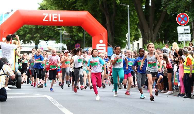 Die Anmeldephase für den Deichlauf läuft bereits. Quelle: LG Rhein-Wied