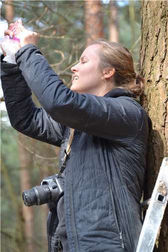 Die Anthropologin Dr. Meredith Tise dokumentiert die Arbeiten und alle Funde.
