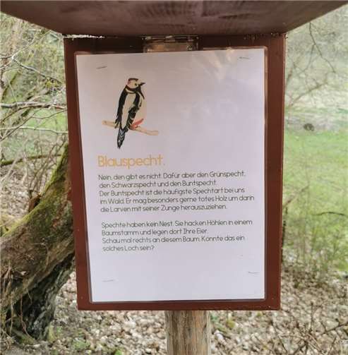 Die Antworten sind unterwegs auf Klappschildern zu entdecken.