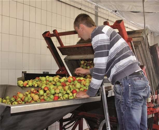 Die Apfelsaftpresse läuft. Der Besucher konnte gleich das leckere Produkt probieren.