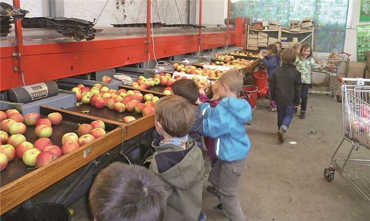 Die Apfelsortiermaschine wurde genau begutachtet.  Privat