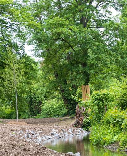 Die Arbeiten am Mühlenteich sind bereits weit fortgeschritten.Quelle: Landesgartenschau gGmbH