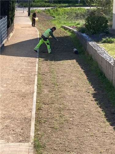 Ökologische Wiederbelebung von Brey Die Arbeiten zum Einsähen an der Alten Straße.