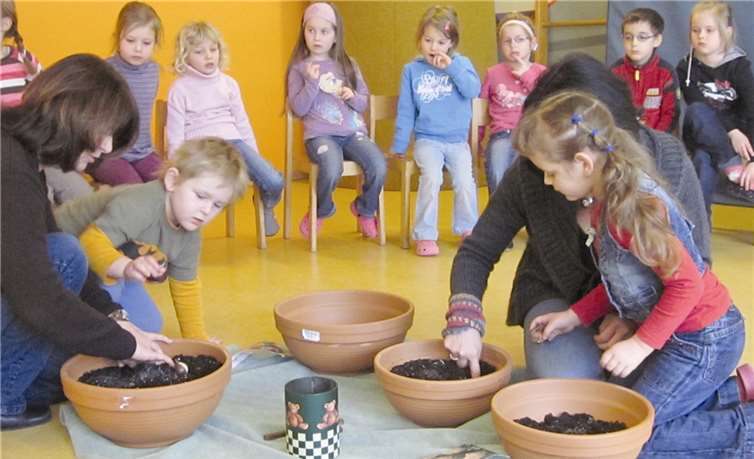 In der Asche der Luftschlangen wachsen nun Blumen