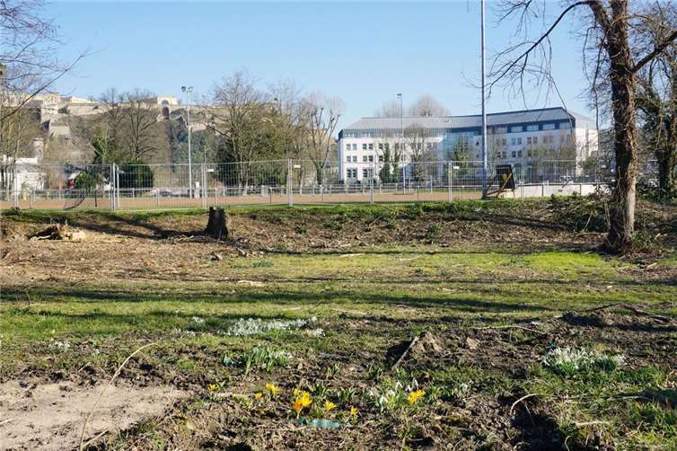 Die Aufräumarbeiten für den ersten Bauabschnitt des künftigen Sport- und Motorikparks am Schartwiesenweg sind abgeschlossen. Baubeginn unter anderem für ein neues Fußballfeld soll noch in diesem Jahr sein.  Foto: Stadt Koblenz/Verena Groß