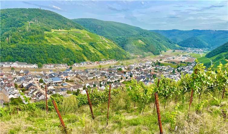 Die Auftaktveranstaltung findet in Dernau statt.  Foto: ROB